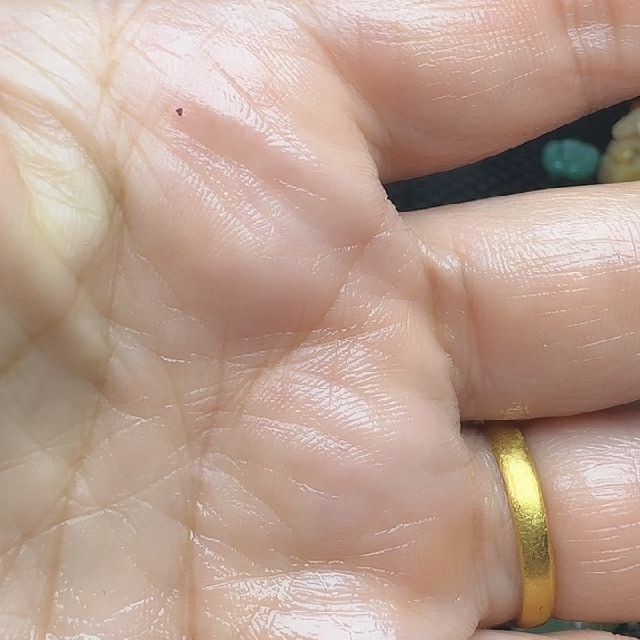 和***下老挝石真真正正章10个