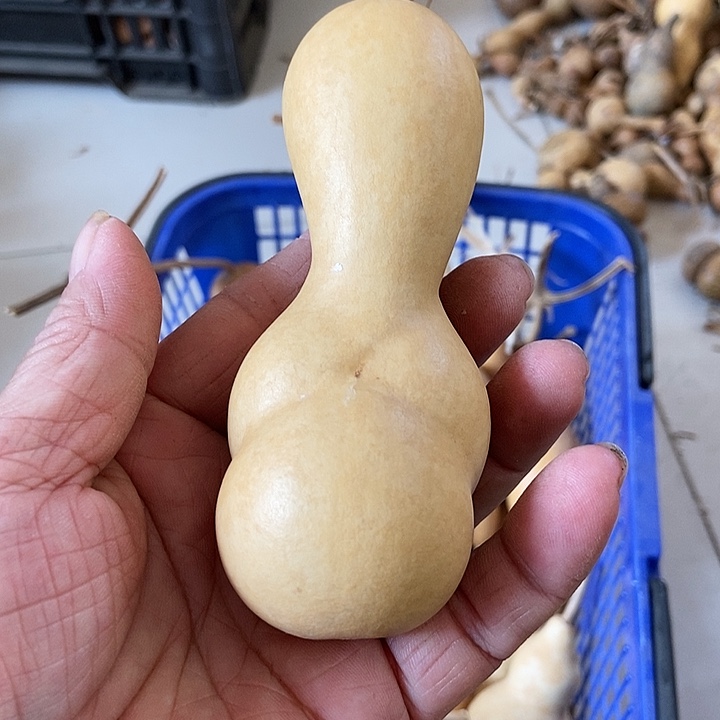 画****生Vsvzbzvhsjsjshffghhjk