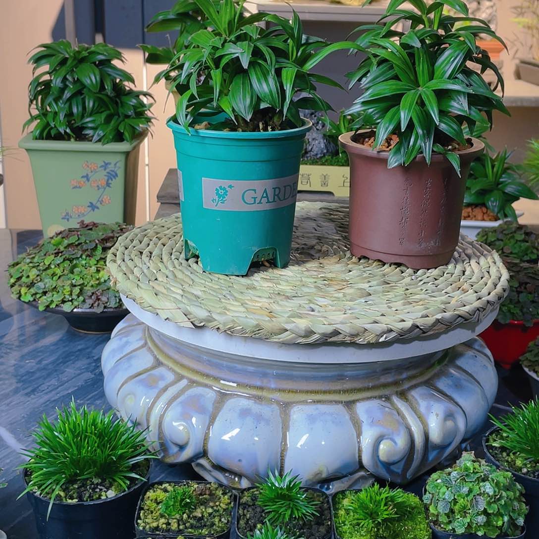 【闪购商品】完全开放