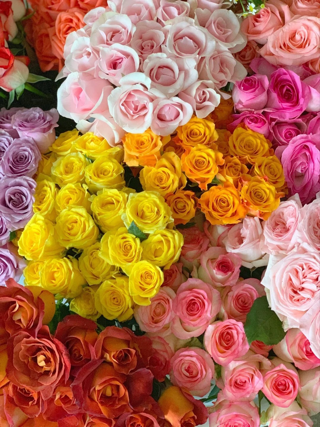 惊喜小盒玫瑰随机20支+草花20支