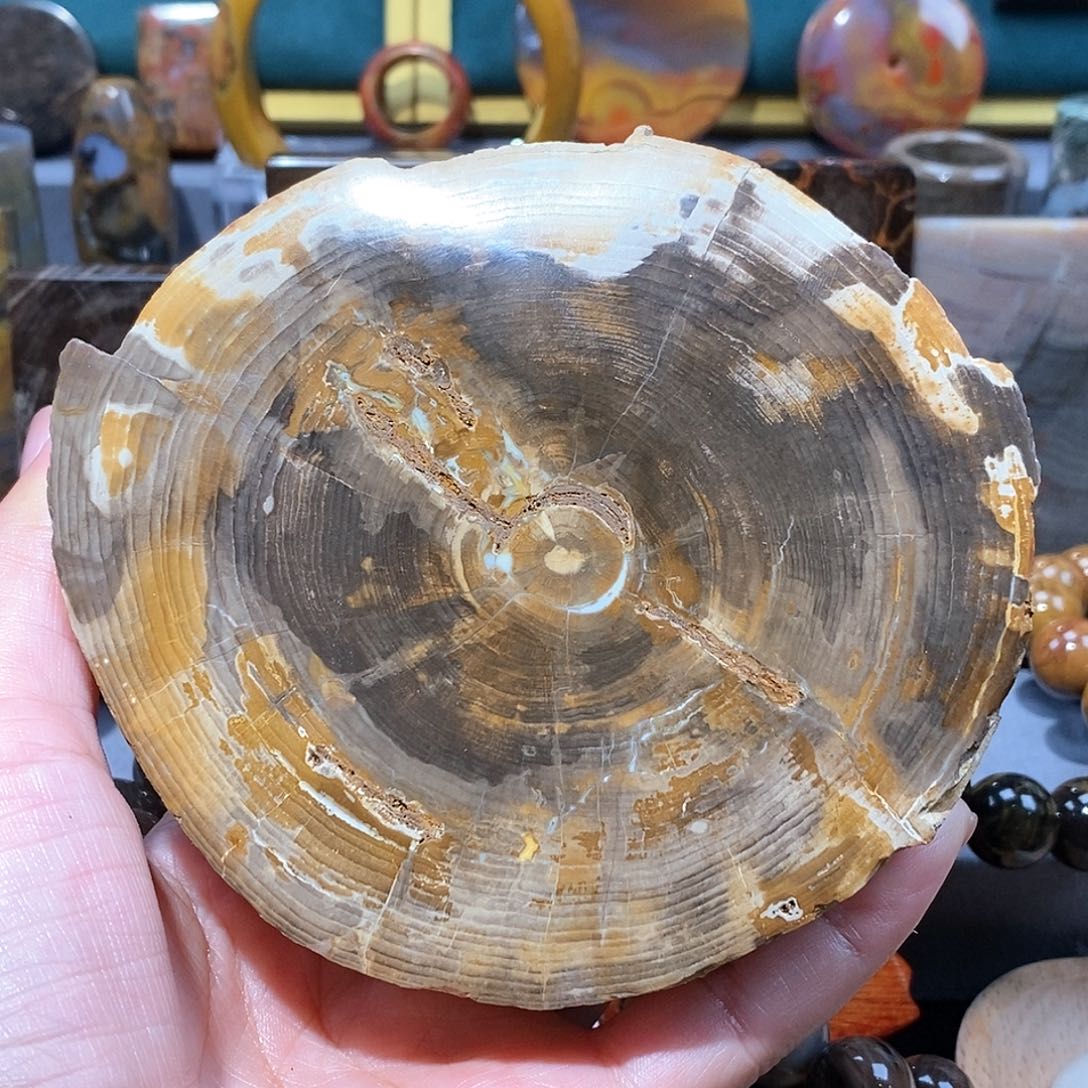 硅化玉天然北票硅化玉原石未镶嵌天然北票硅化玉原石