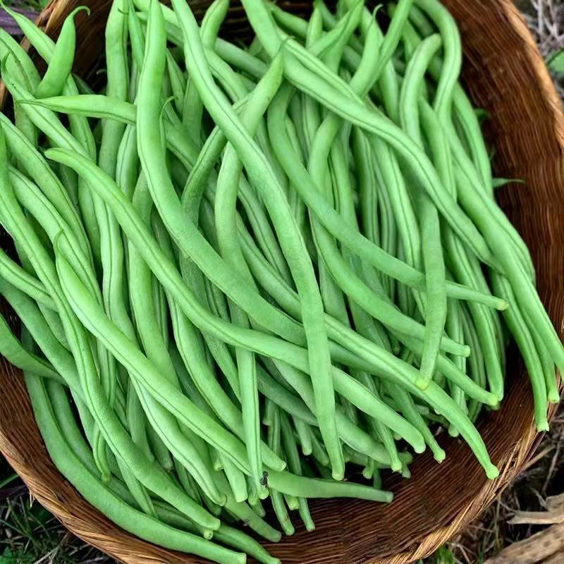 【云货心选】无筋豆