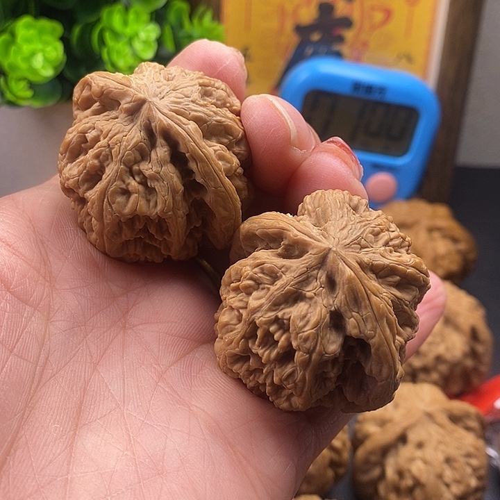 龙脊菩提吊坠粗筋40