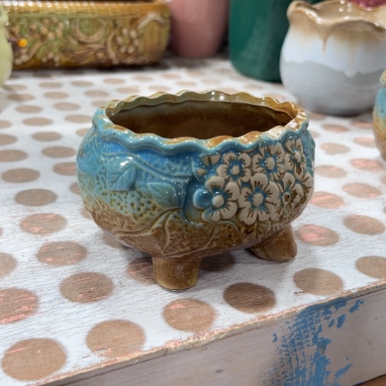 边播会边给你找盆的，耐心看几分钟谢谢，福袋先参与一下