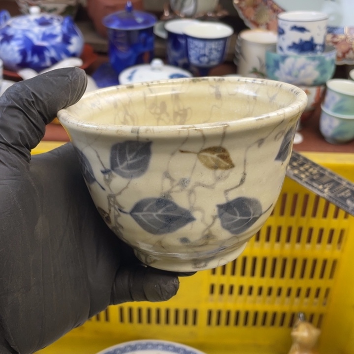 陶莱瓷购购购购购购