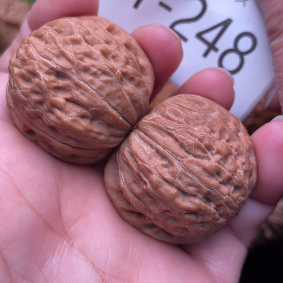 文玩核桃把件铁锤37