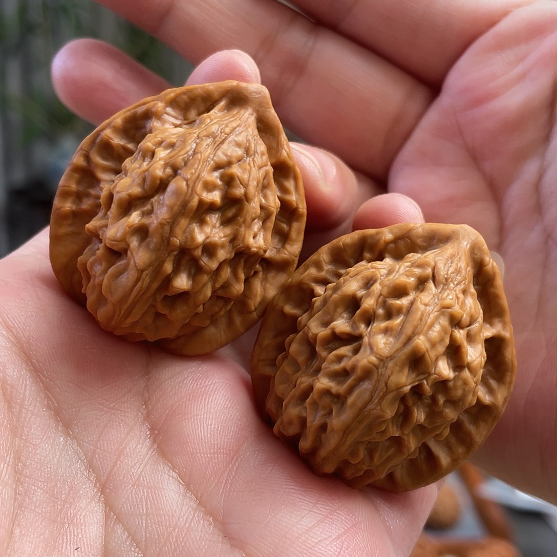 桃核把件37×36尺西北大红袍CN01444已打底