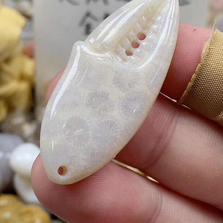 颈饰未镶嵌硅化珊瑚（珊瑚玉）