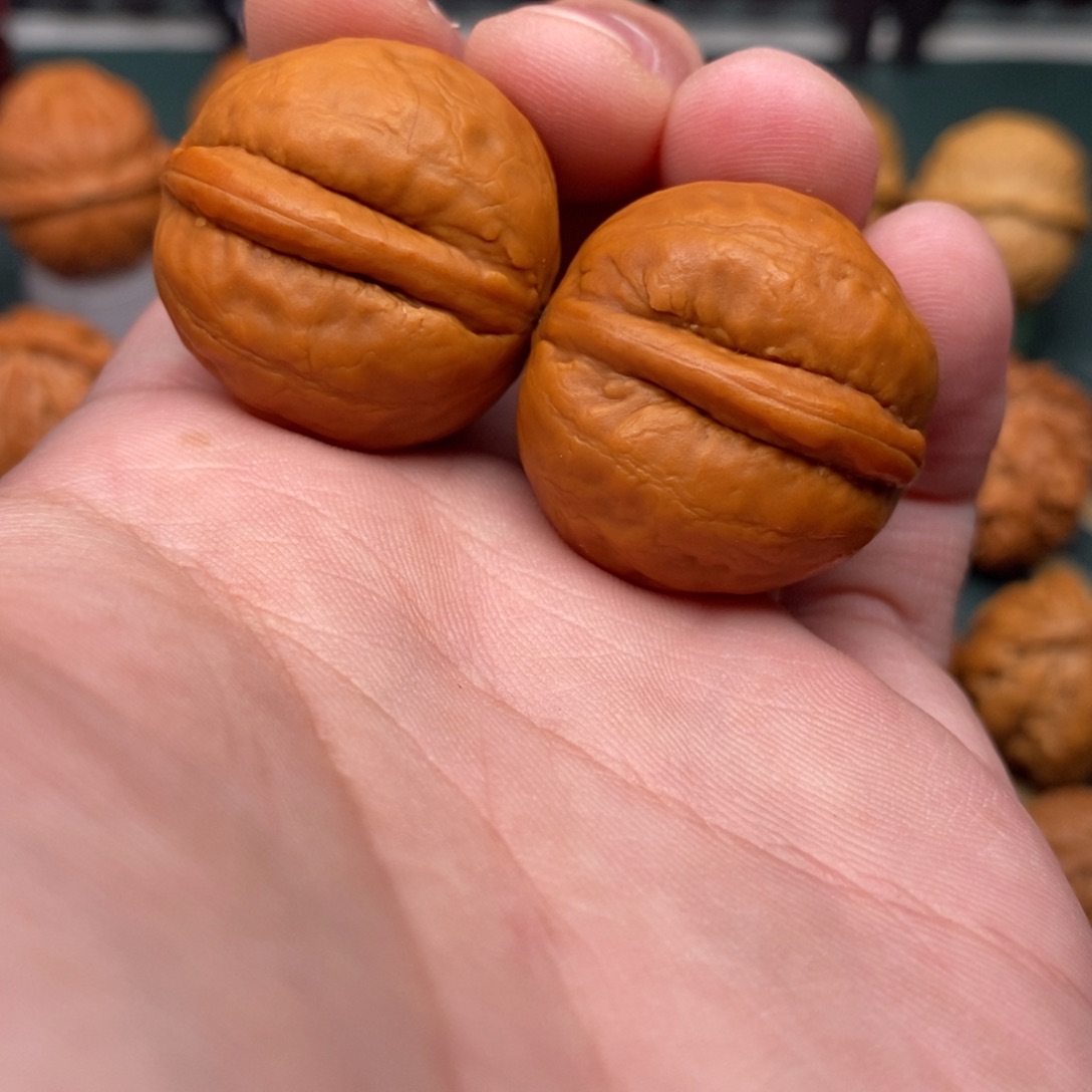 文玩核桃把件小海豚