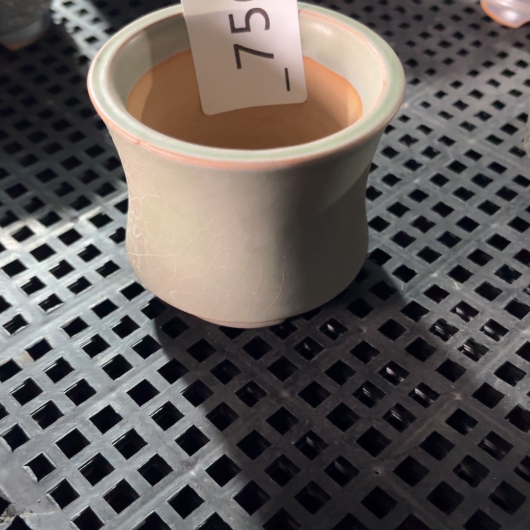 红陶756花盆  1个