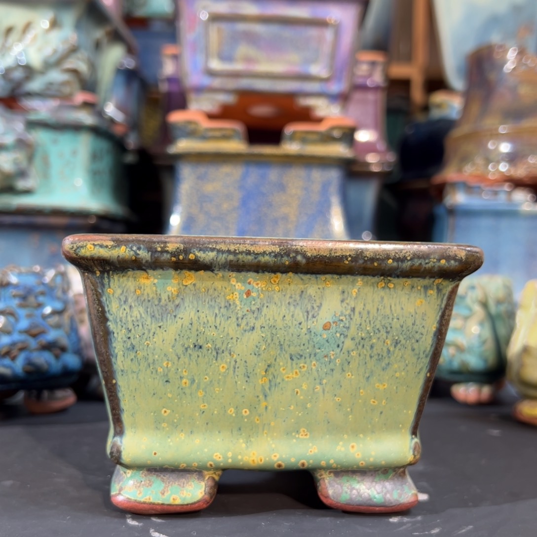 觉象钧创盆景艺术