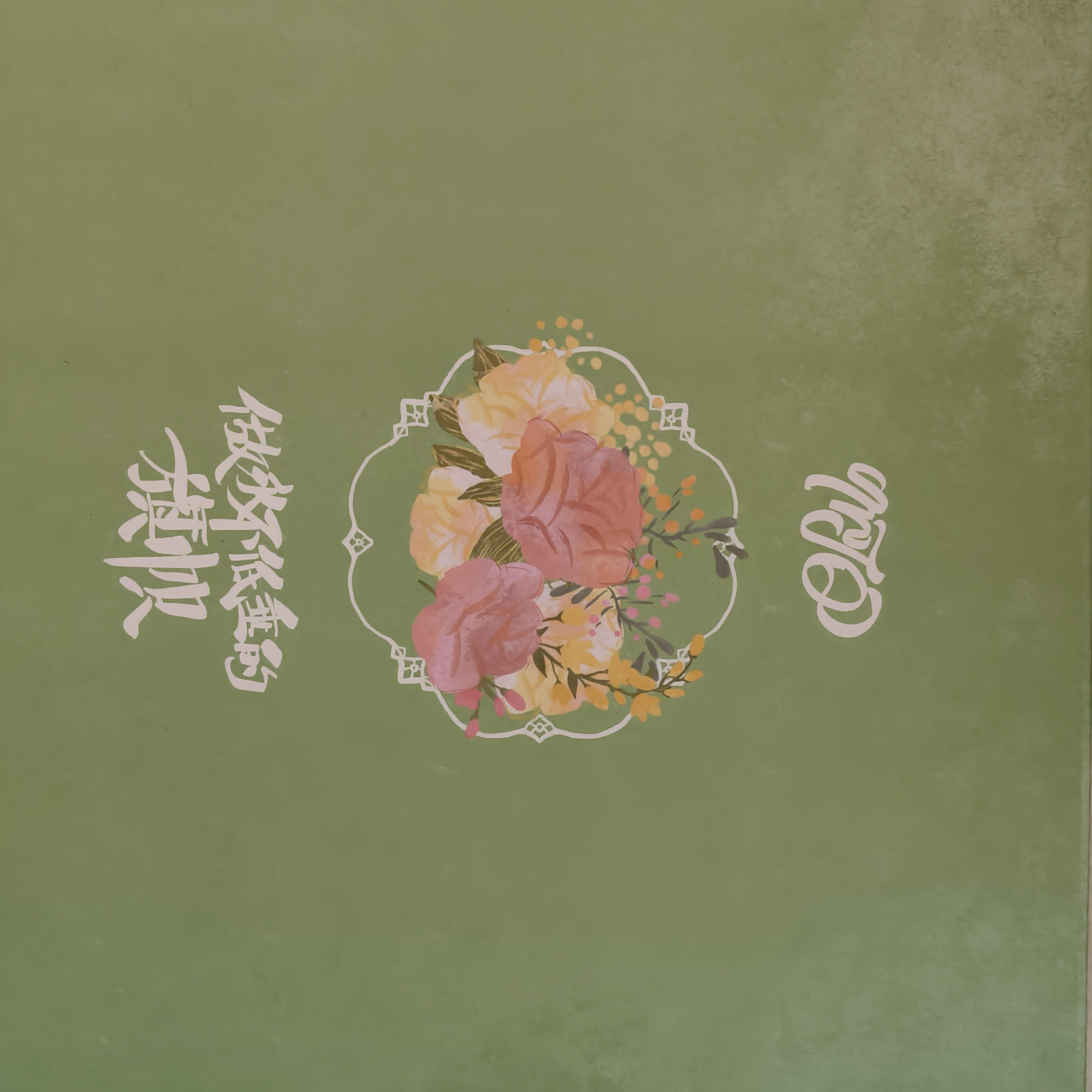 时代少年团冠军团体及单人无卡全套（仅拿卡）