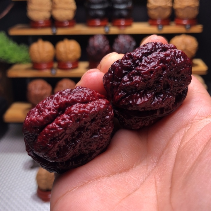 【闪购商品】地焖蝴蝶蝉11