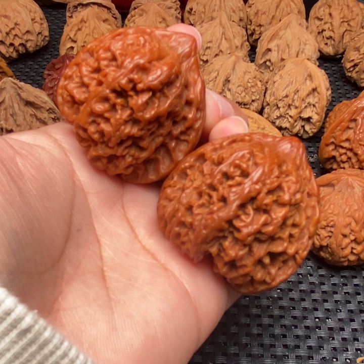 秦岭野生0000000034