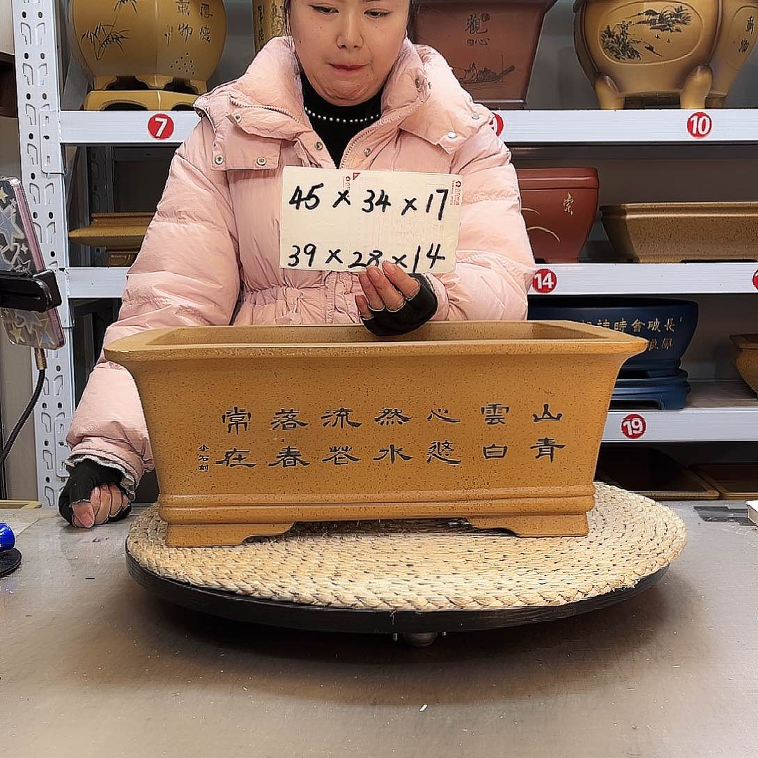 紫砂花盆紫砂花盆