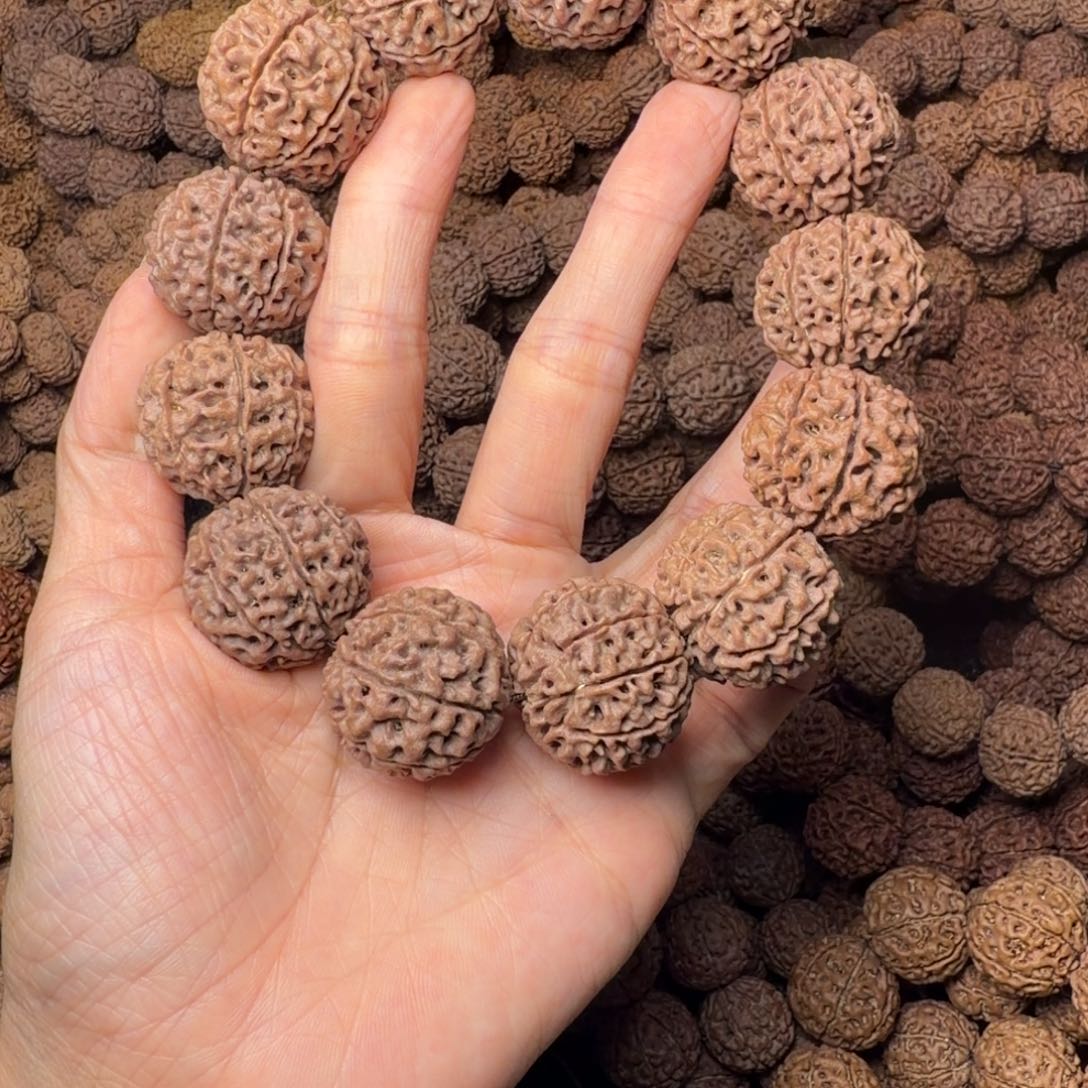 金刚菩提手串8瓣卡25尺，90号