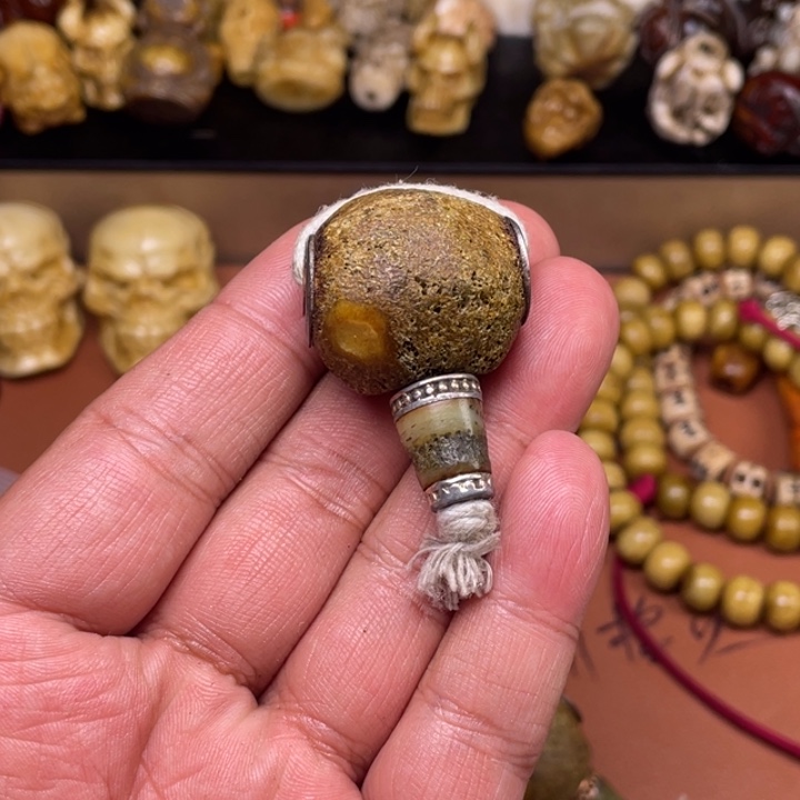 驼骨其他人共忙完