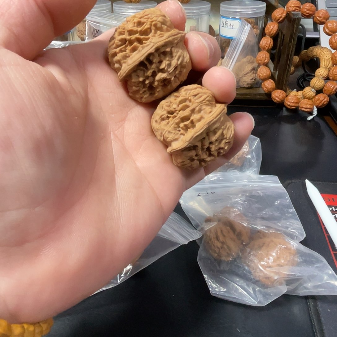 白茬太行山元宝一物一图
