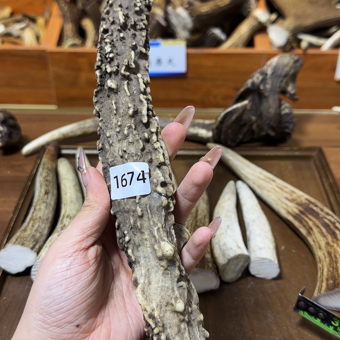 鹿骨手串/手链1674梅花鹿怪角