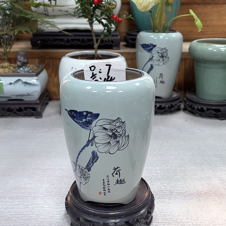 陶瓷花盆紫砂花盆福利抢购