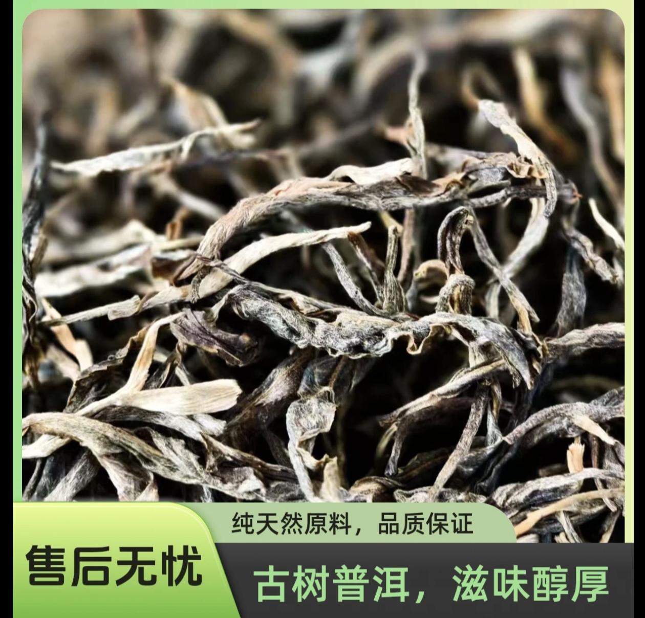【昔归晒青】云南普洱2024头春普洱普洱茶叶生茶100克散茶收藏版