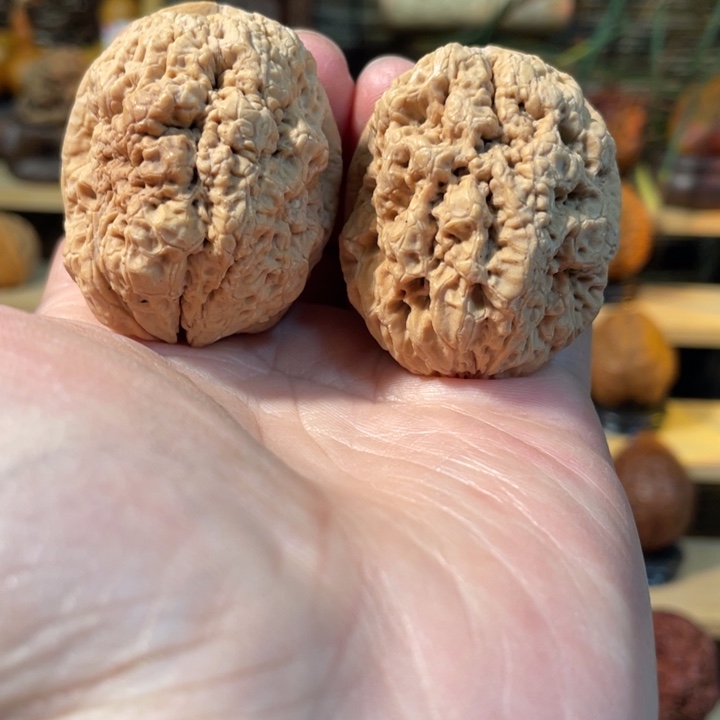 *****文玩核桃把件编号78