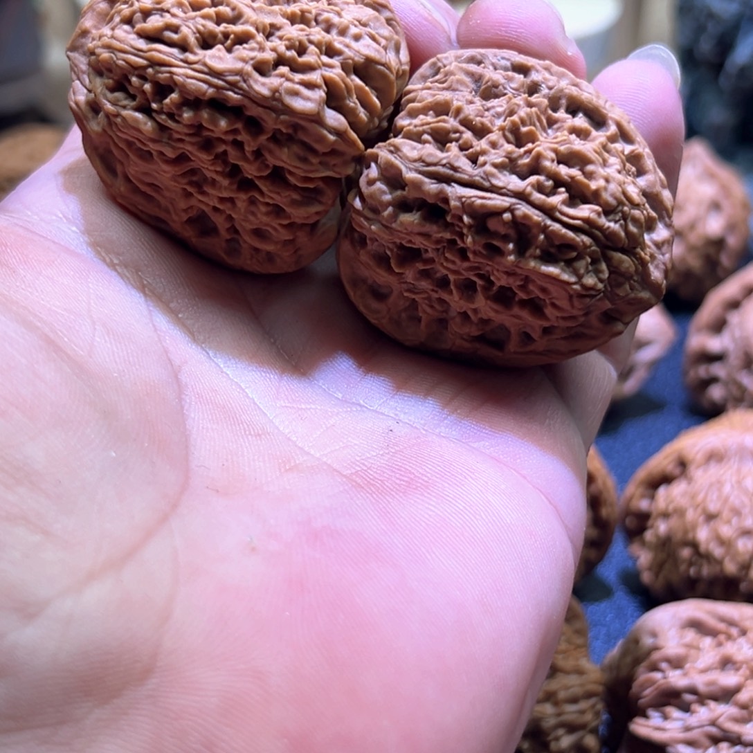 核桃手串/手链39+尺全家福43.8克全品南将