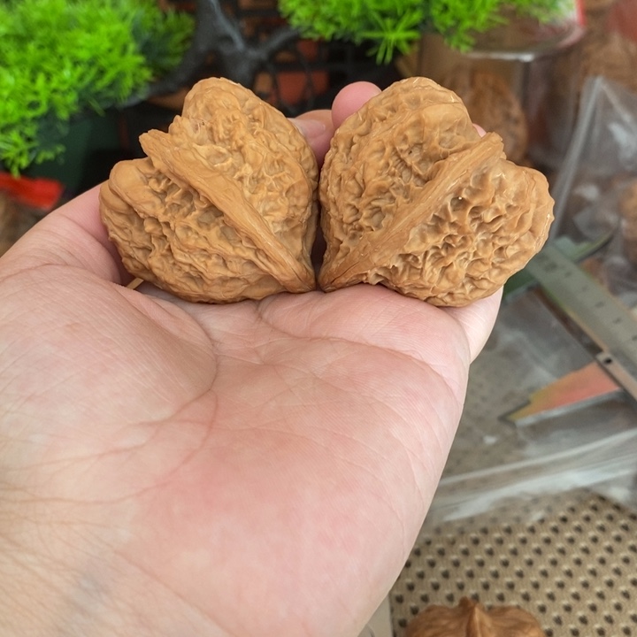 核桃手串/手链火焰马蹄43全