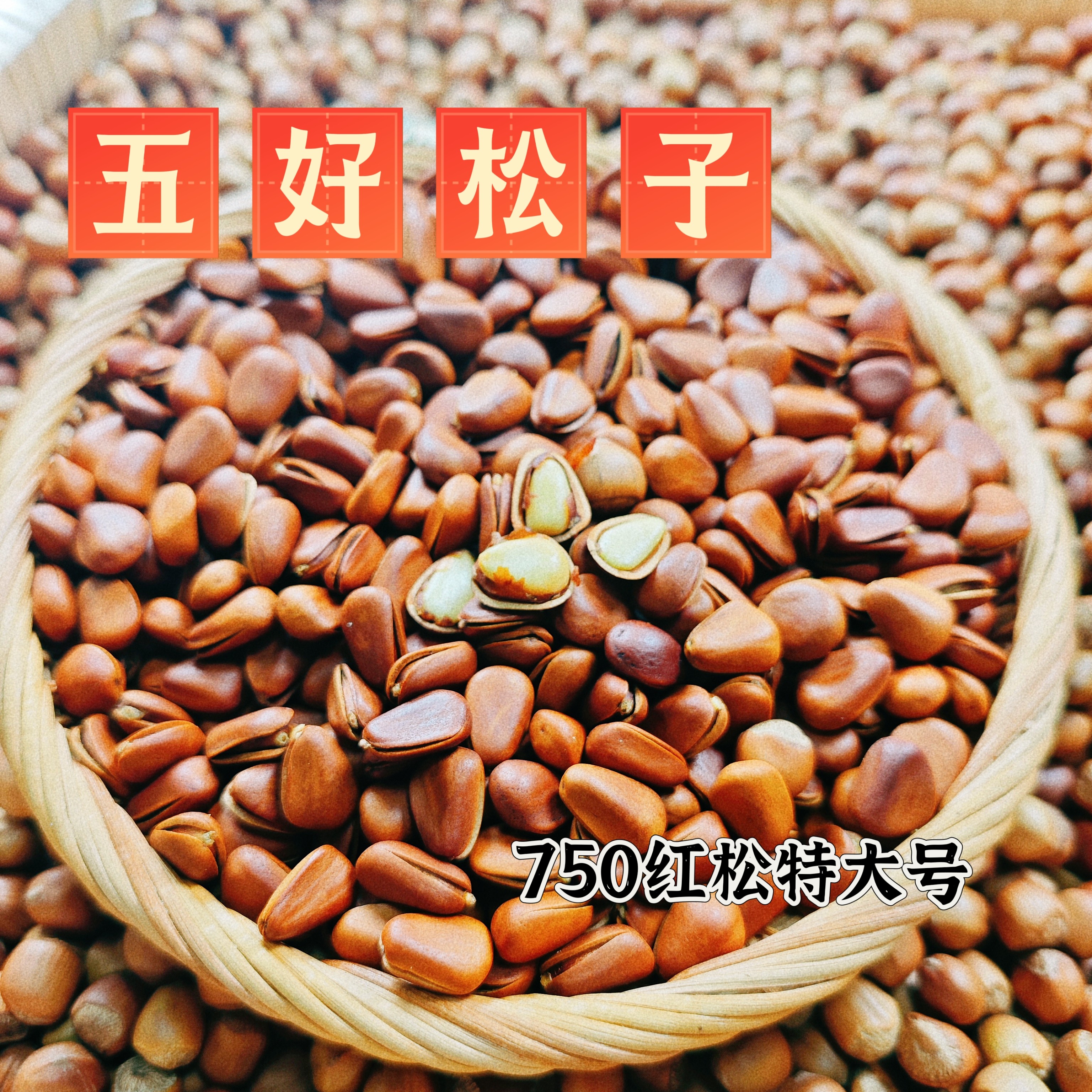 【五好松子特大】东北大颗粒手剥原味开口松子