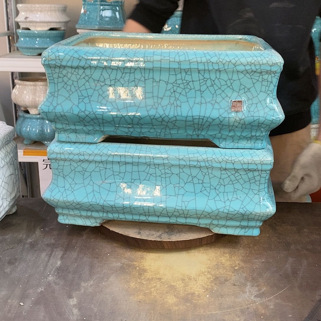 鱼**挥瑕疵花盆花盆里的花