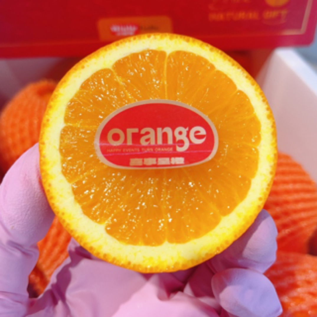 白富美季节限定版甜橙一件