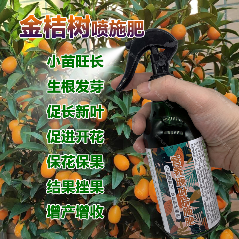 金桔树专用肥料盆栽金桔苗旺长生根促发新芽长新叶营养液叶面肥料