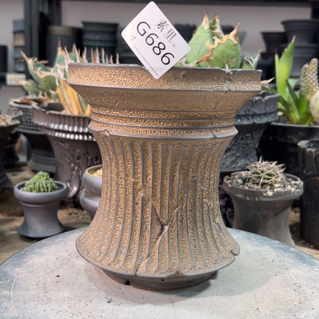 景德镇素里手工内口14.5高17