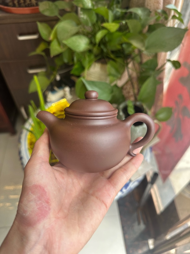 【国工蒋洁作品】莲子·全手工·黄龙山原矿老紫泥·180cc·7孔出水