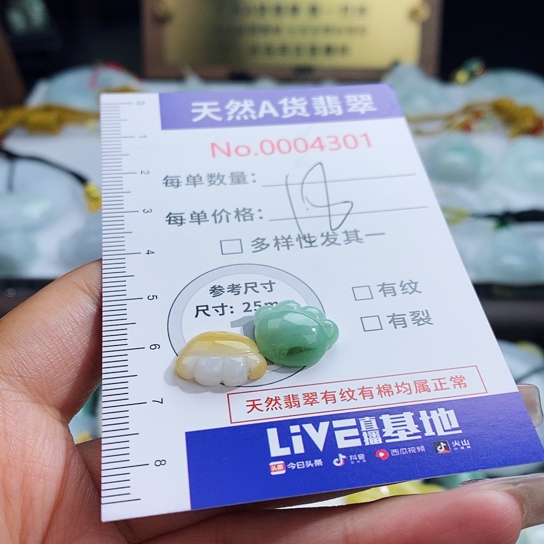 翡翠未镶嵌颈饰4301