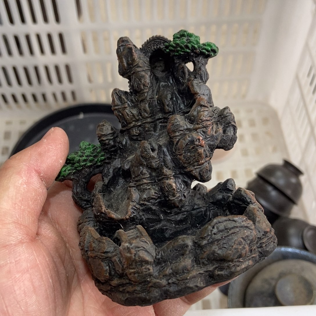 杯直播链接直播链接