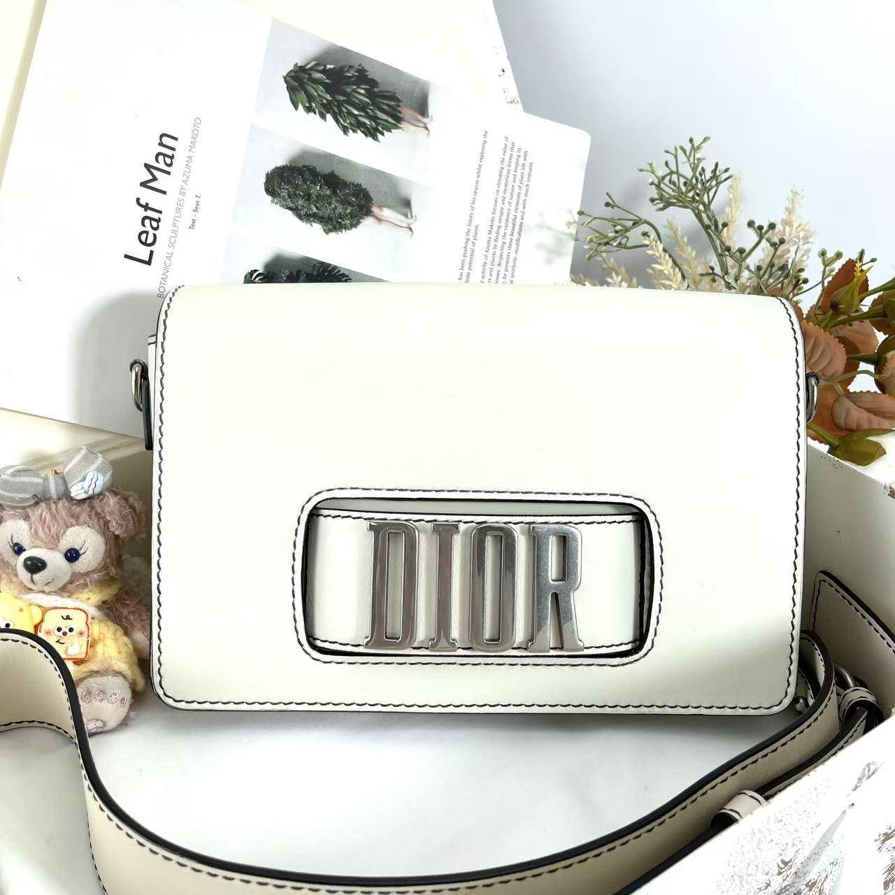 胖虎安安/迪奥/95新/公价0/箱包/两用包/31B2509220134