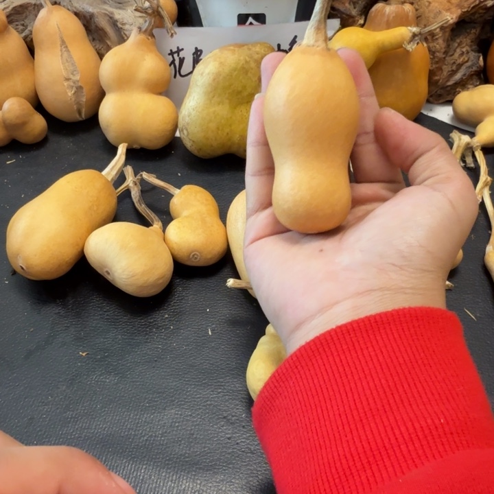 S***18898……………………………………