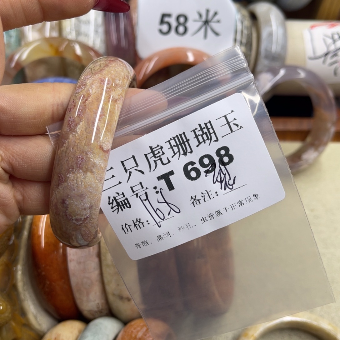 无***念硅化珊瑚（珊瑚玉）未镶嵌h