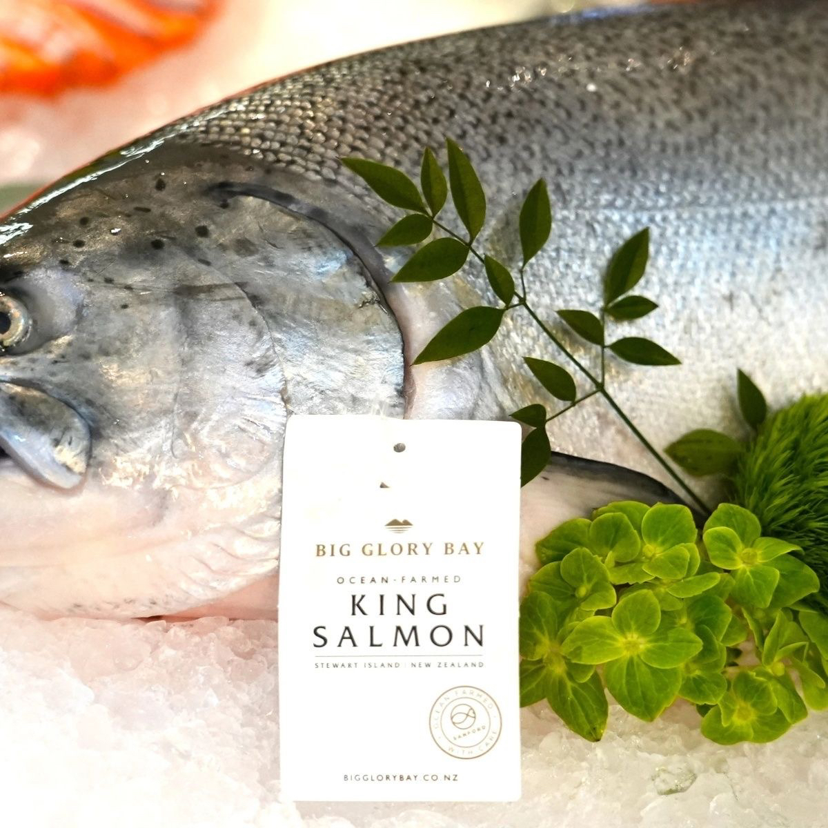 帝王鲑当天现切新鲜发货