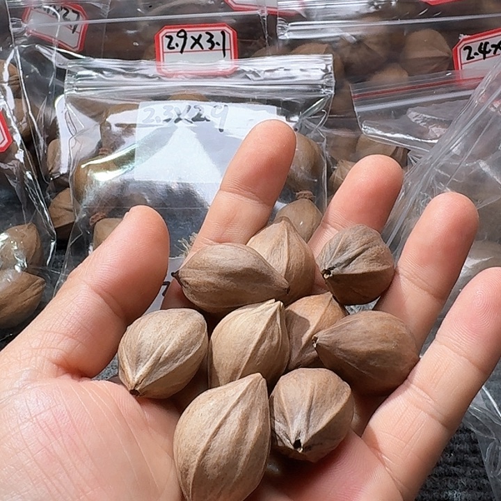 吊坠橄榄核u**.2.3❌3.4