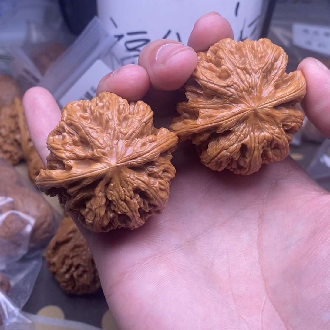 敦***营核桃48尺寸，大粗筋
