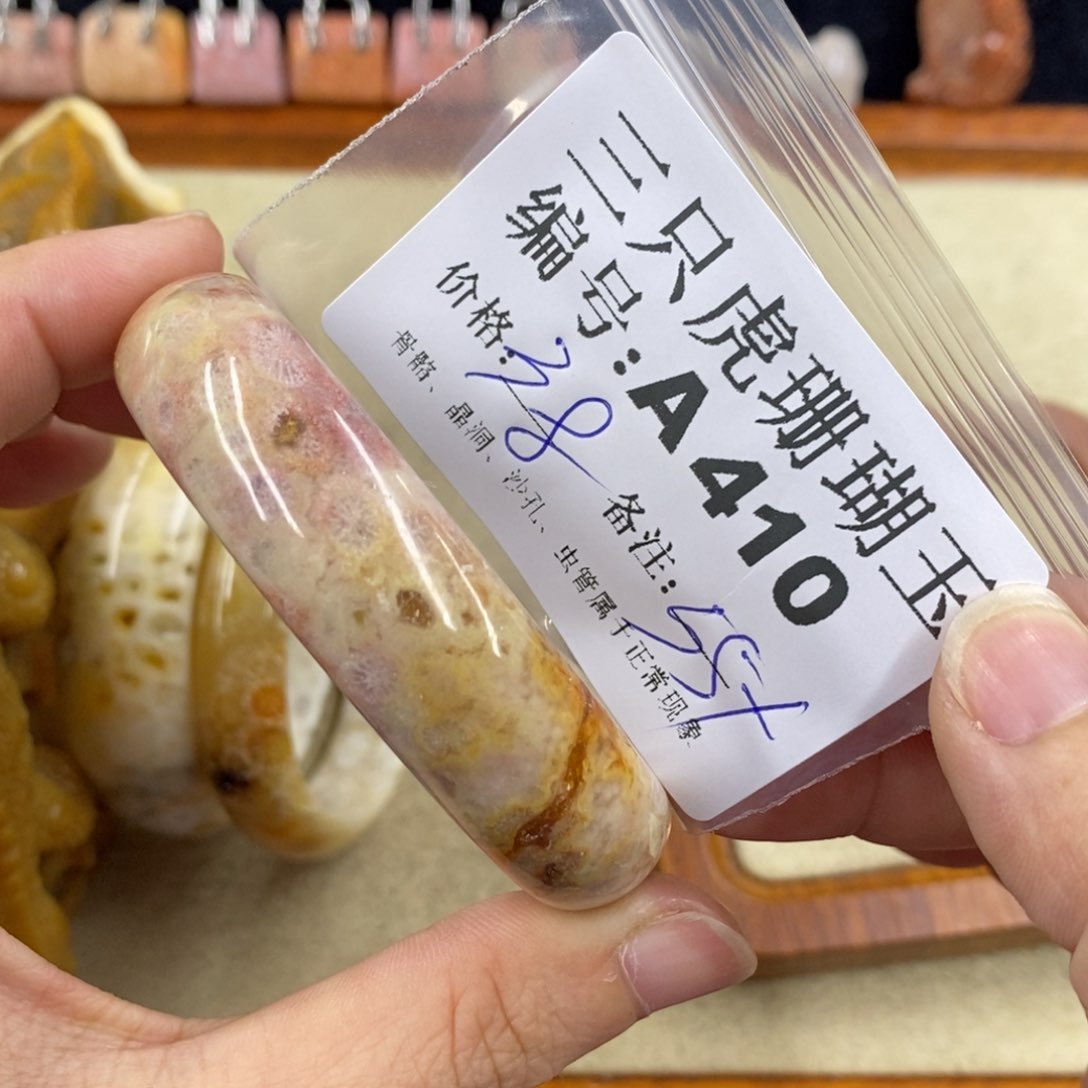 硅化珊瑚（珊瑚玉）1未镶嵌?****