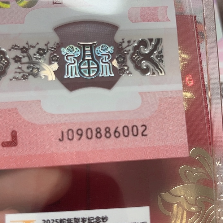 塑料蛇年生肖纪念钞朦胧王6002