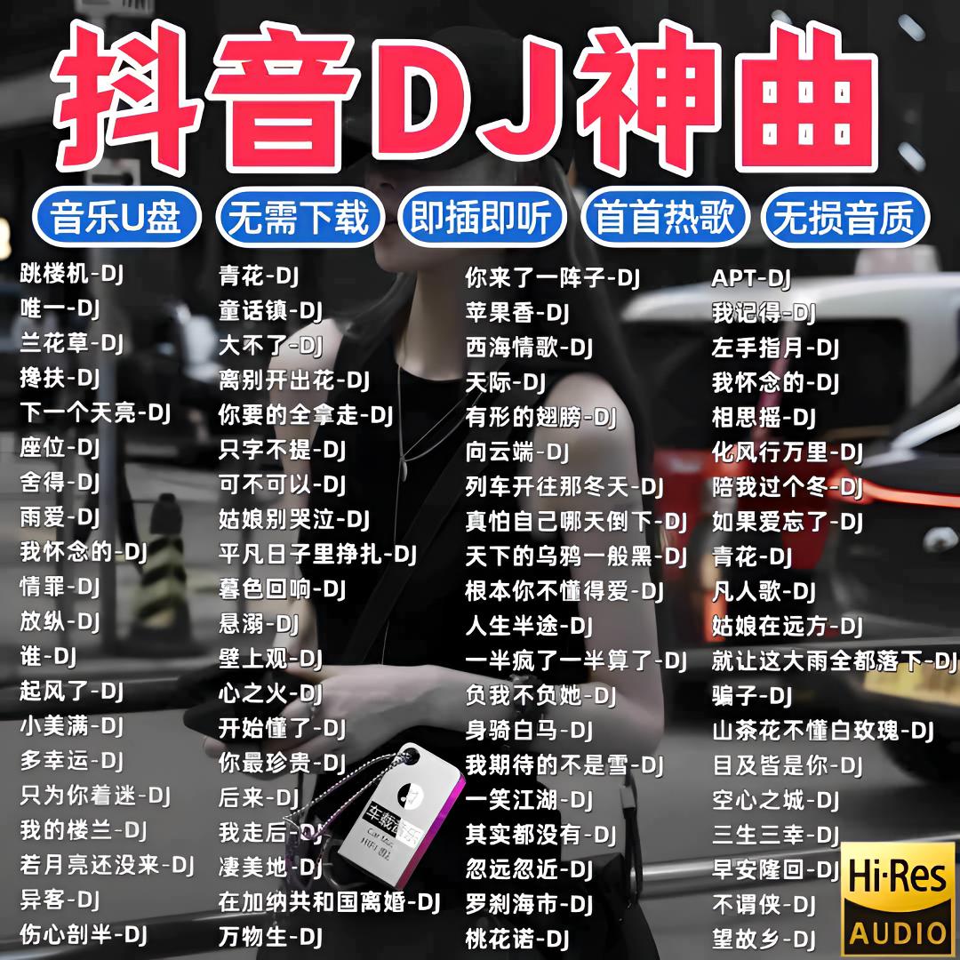 dj车载u盘2025最新款劲爆dj抖音热门DJ歌曲无损柏林之声dj音乐u盘