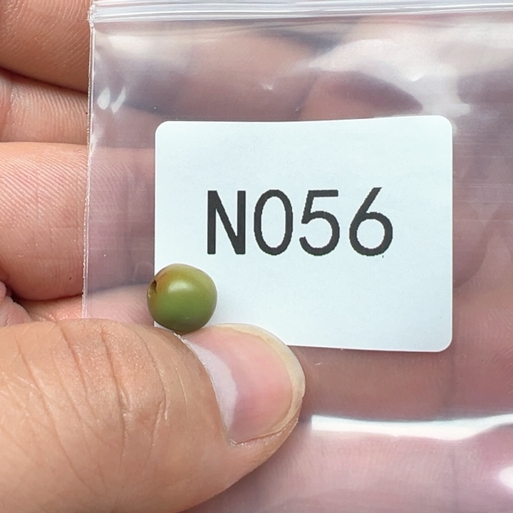 和田玉（糖玉）珠宝半成品未镶嵌楠*