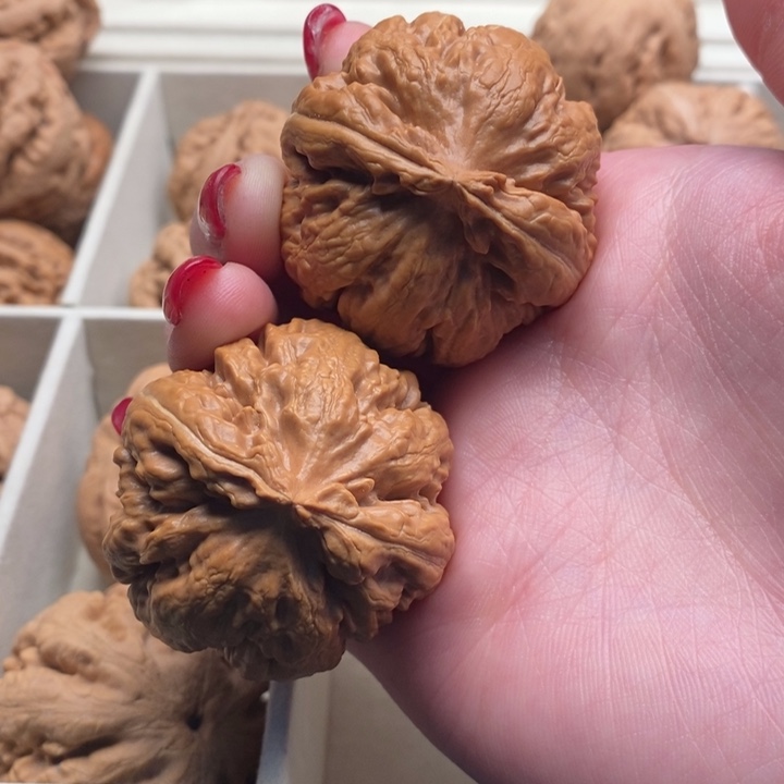 小***菇文玩核桃把件霸王龙