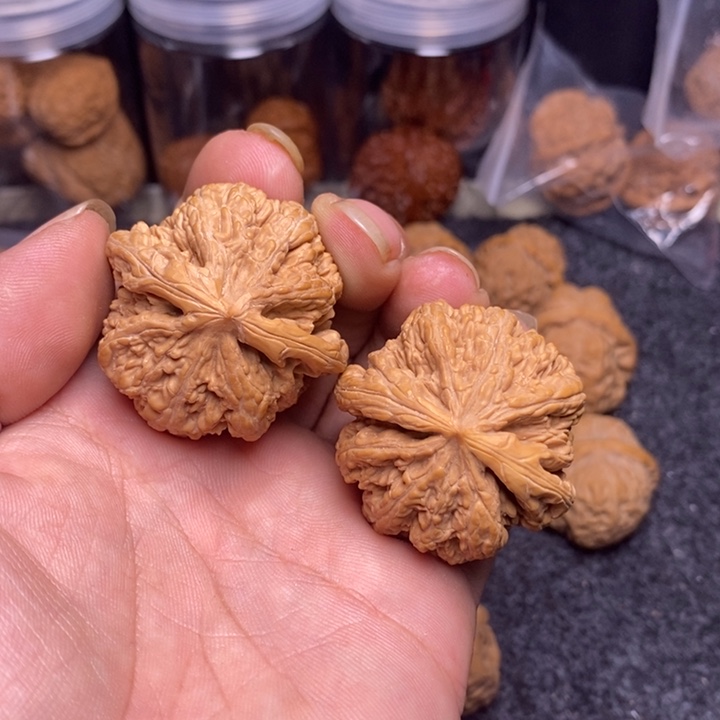 文玩核桃吊坠41大粗筋