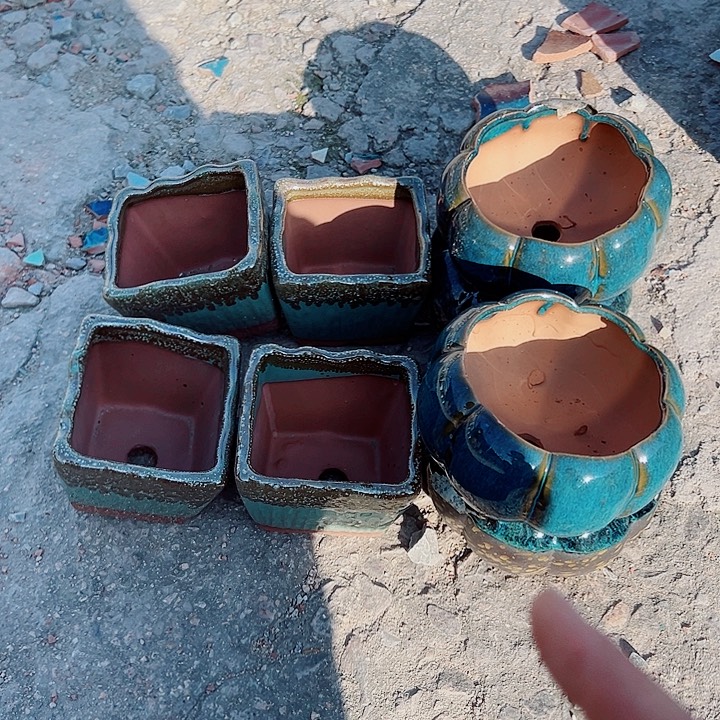 花盆花盆花盆花花盆