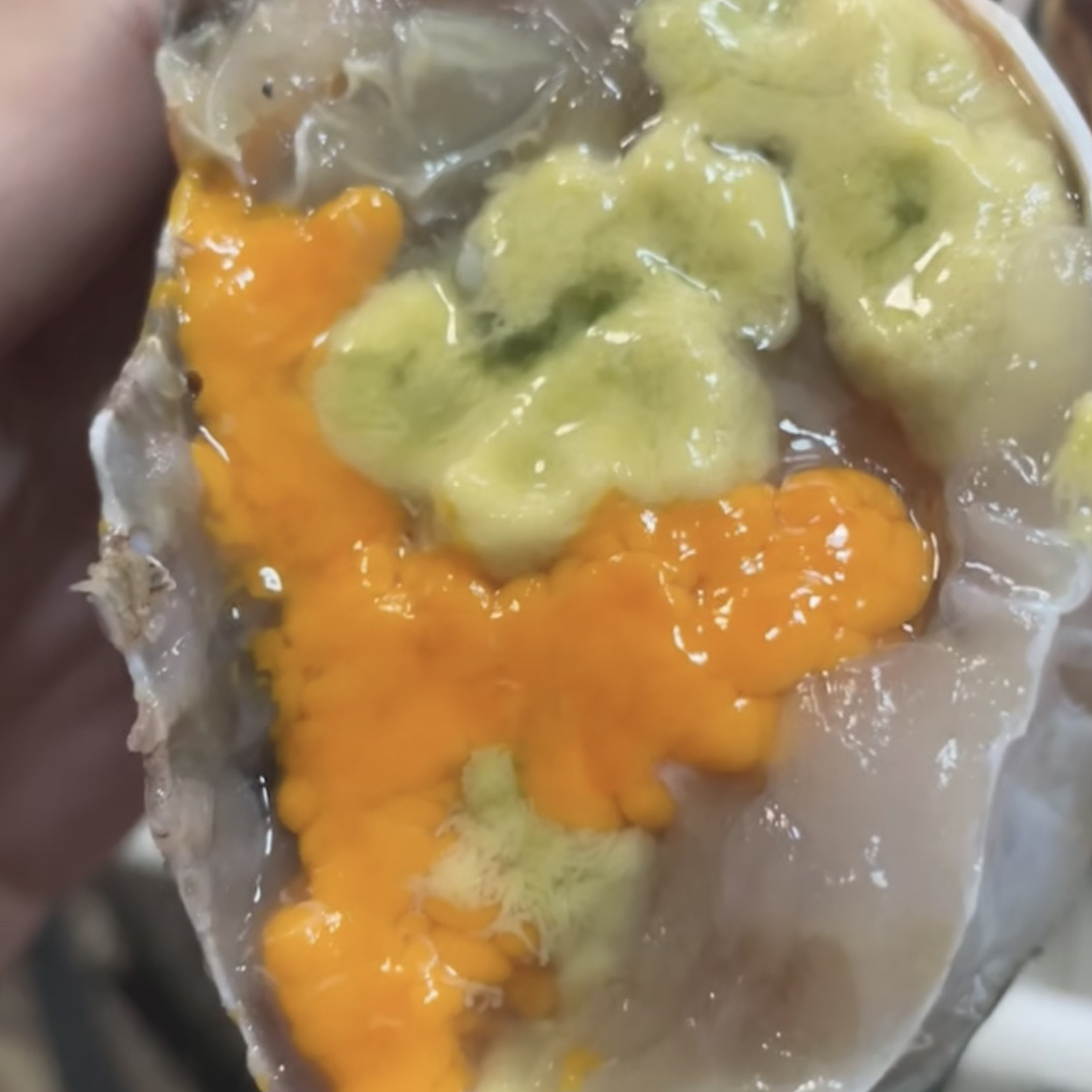 青蟹惠女赶海直播间现称链接